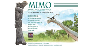 mimo sur la trace des dinosaures